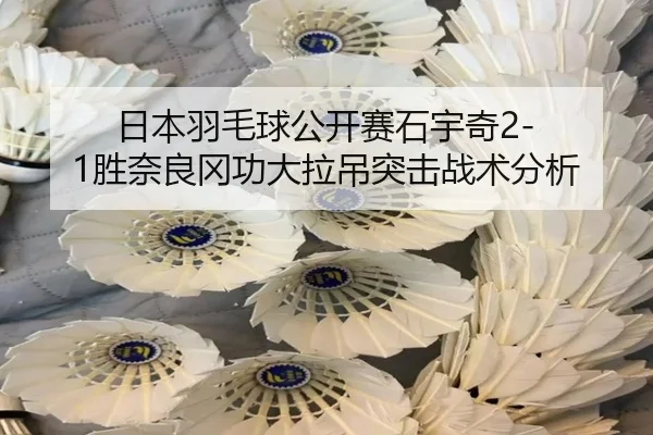 ri-ben-yu-mao-qiu-gong-kai-sai-shi-yu-qi-sheng-nai-liang-gang-gong-da-la-diao-tu-ji-zhan-shu-fen-xi-3-551.jpg